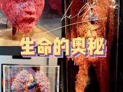 -生命奥秘博物馆