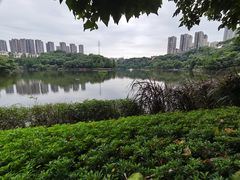 -重庆彩云湖湿地公园