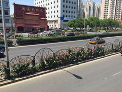 -湘德楼(德胜门外大街店)