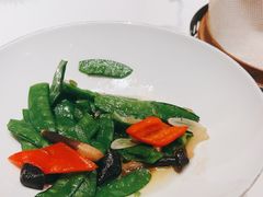 -觅唐MITONG(鸟巢店)