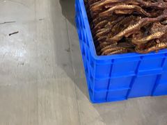 -卢记向塘酱鸭