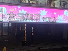 -盒马渔市餐厅