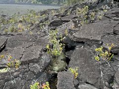 -夏威夷火山国家公园