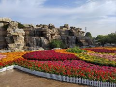 -石家庄市植物园