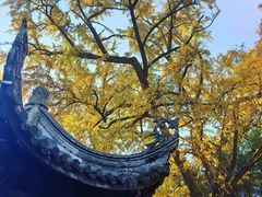 -无锡惠山寺