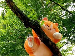 -西安电影制片厂