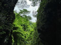 -夏霖九天银瀑风景区