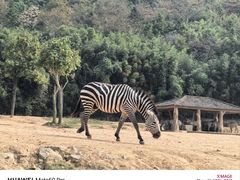 -杭州野生动物世界