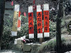 -香雪海
