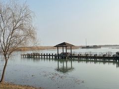 -苏州太湖湖滨国家湿地公园
