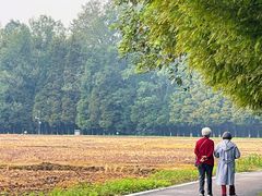 -桤木河湿地公园