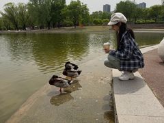 -太阳宫公园