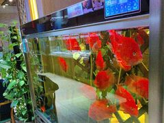 -香约老地方烧烤(九道街店)