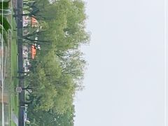 -上海佘山世茂艾美酒店