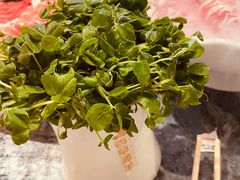 -百草滩羊清水涮羊肉·清真·宁夏盐池滩羊(莲花桥店)