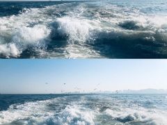 -澳门环岛游湾仔码头