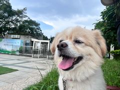 -博特宠物医院24h犬猫全科.骨科·异宠