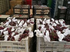 -西郊国际农产品交易中心