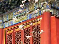 -潭柘寺景区