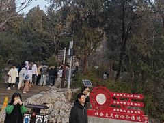 -云龙山