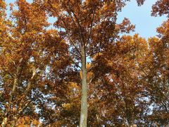 -河南省黄河迎宾馆