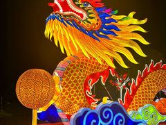 -淄博花灯齐彩城