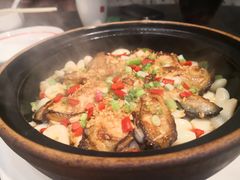 -飞尝蚝·顺德菜·鱼生(顺德总店)
