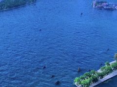 -杭州浪浪浪水公园