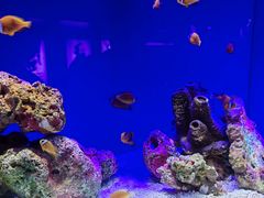 -上海海洋水族馆