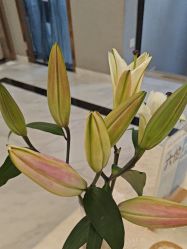-康缇雅美容养生会所
