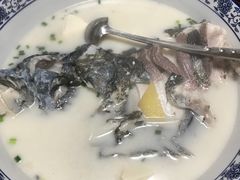 -全乐鱼馆·淳牌有机鱼直营店