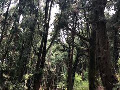 -七曲山风景区