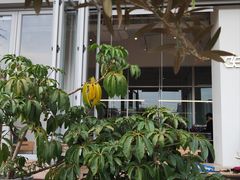 -DEEP COFFEE(瑞光烘焙工厂店)