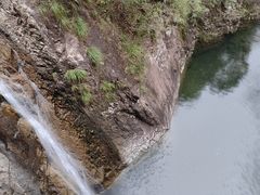 -花岩国家森林公园