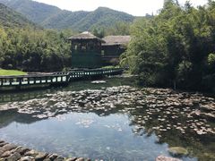 -天下银坑