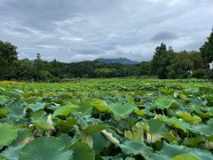-清漾毛氏文化村