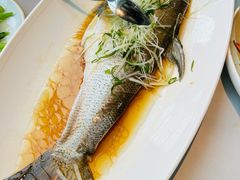 -翡翠江南(国贸商城店)