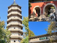 -灵谷景区