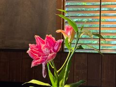 -庐灶江南·江南菜·四合院Bistro(东直门·华侨夜泊君亭店)