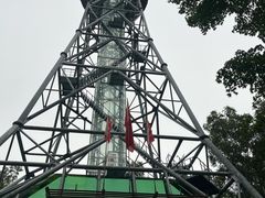 -汤旺河林海奇石景区
