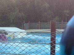 -上海玛雅海滩水公园