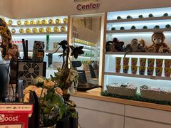 -ventus spa 沙巴亚庇正宗精油按摩会所