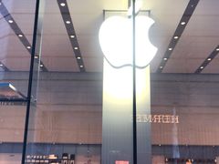 -Apple零售店(华贸购物中心店)