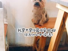镇店之宝-春风十里咖啡馆
