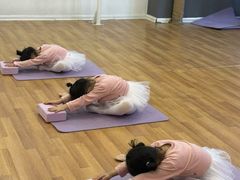 -北京红舞鞋少儿形体舞蹈教育(高新融侨城校区)