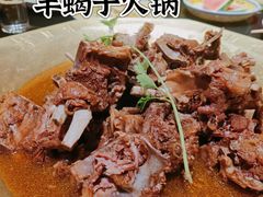 -芦月轩羊蝎子(劲松店)