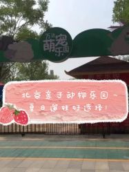 -萌宠亲子动物乐园(槐房万达店)