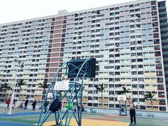 -彩虹村