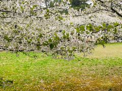 -同济大学(嘉定校区)