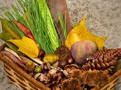 -南宁良凤江国家森林公园